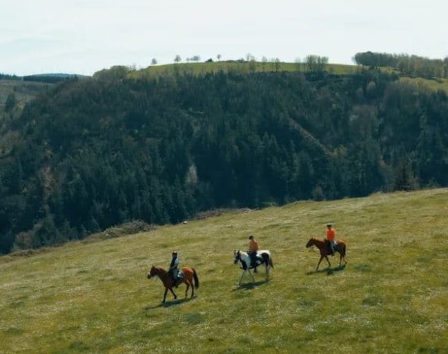 Horseback Riding to Villanueva de Oscos: Equestrian Adventure in the Nature of Asturias
