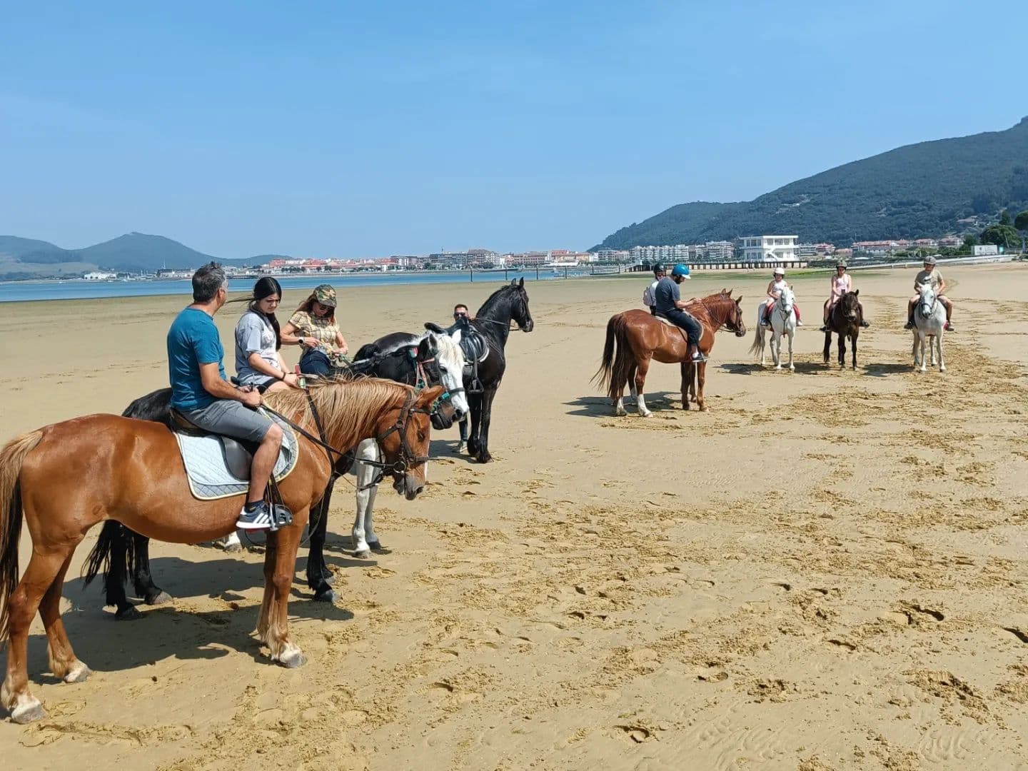 Introductory course to horseback riding