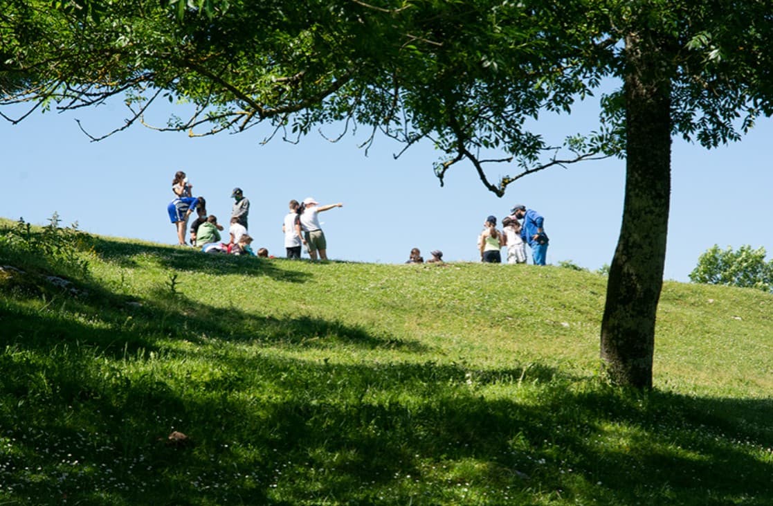 Compass orientation in the Sierra de Urbasa: Learn to orient yourself in nature